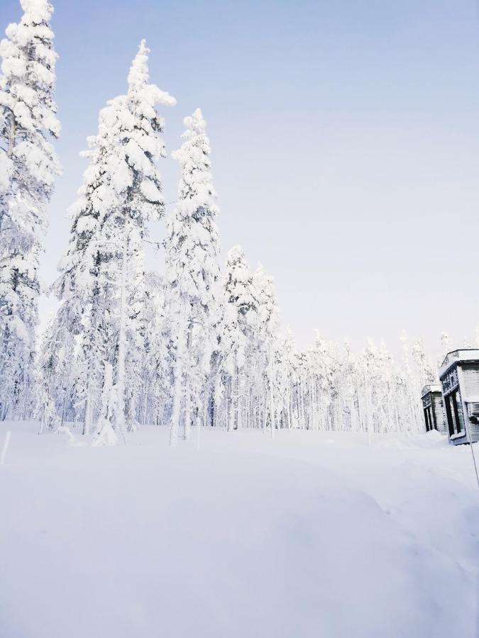 Levi Sky Igloo With Private Sauna And Hot Tub Екстериор снимка
