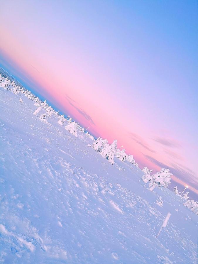 Levi Sky Igloo With Private Sauna And Hot Tub Екстериор снимка